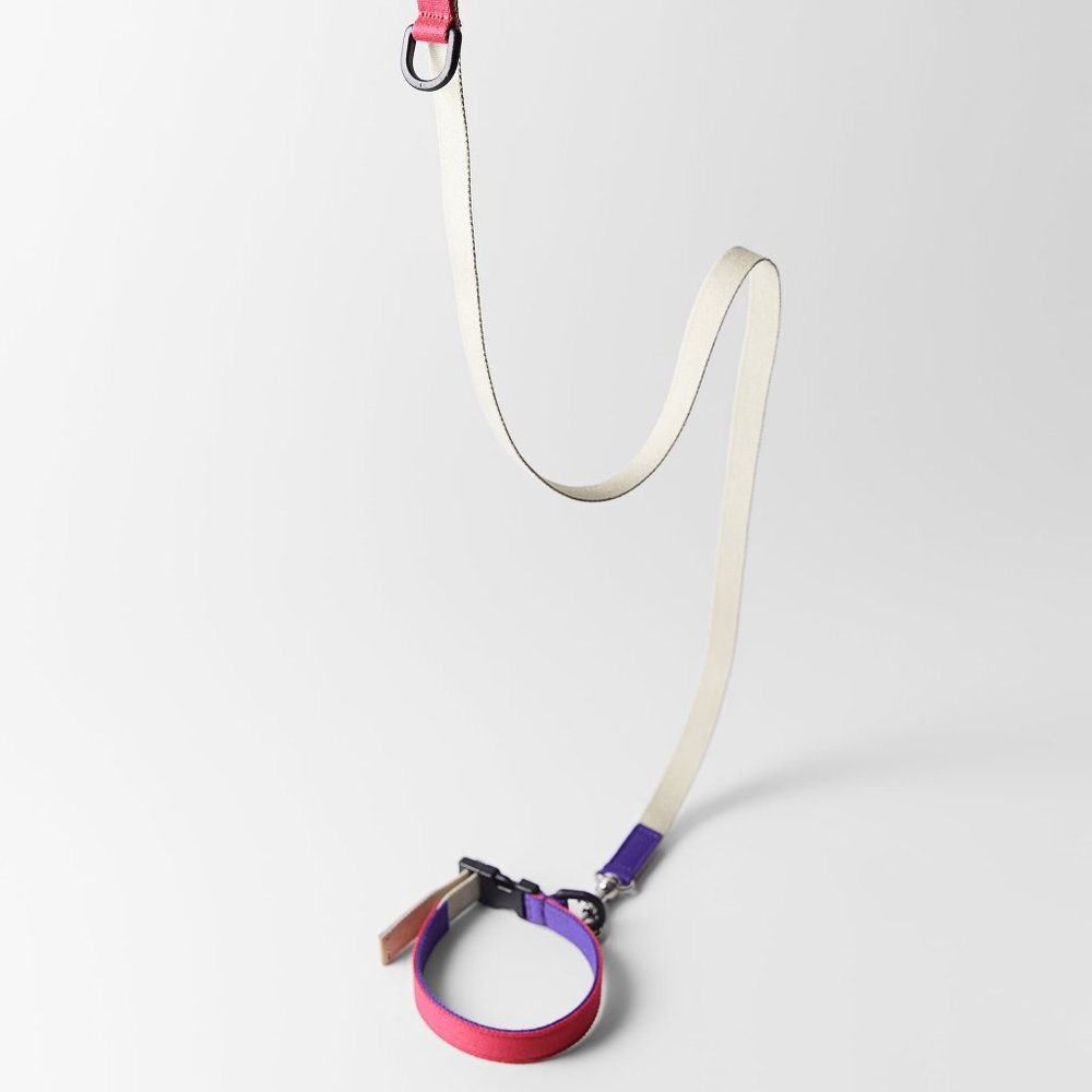ZARA COLORFUL LEASH PET COLLECTION